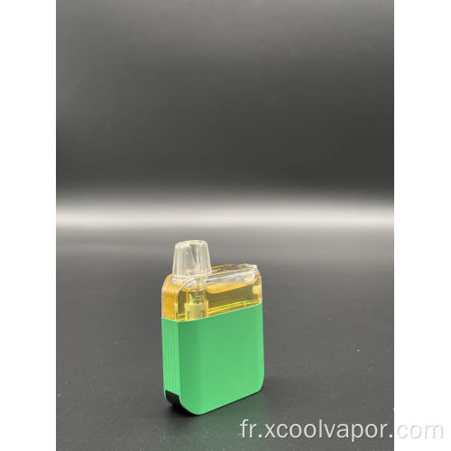 Atomiseur de Vape pré-enveloppé Pod rechargeable 5000 bouffées